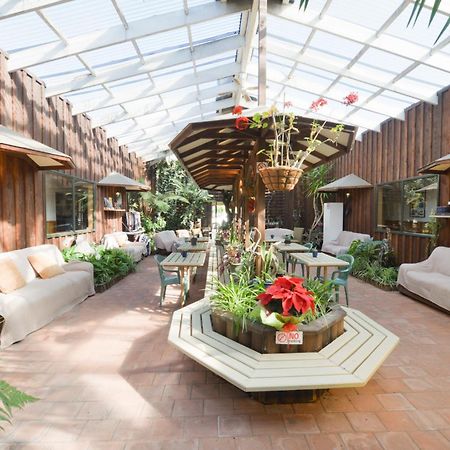 هاست Wilderness Motel Accommodation المظهر الخارجي الصورة